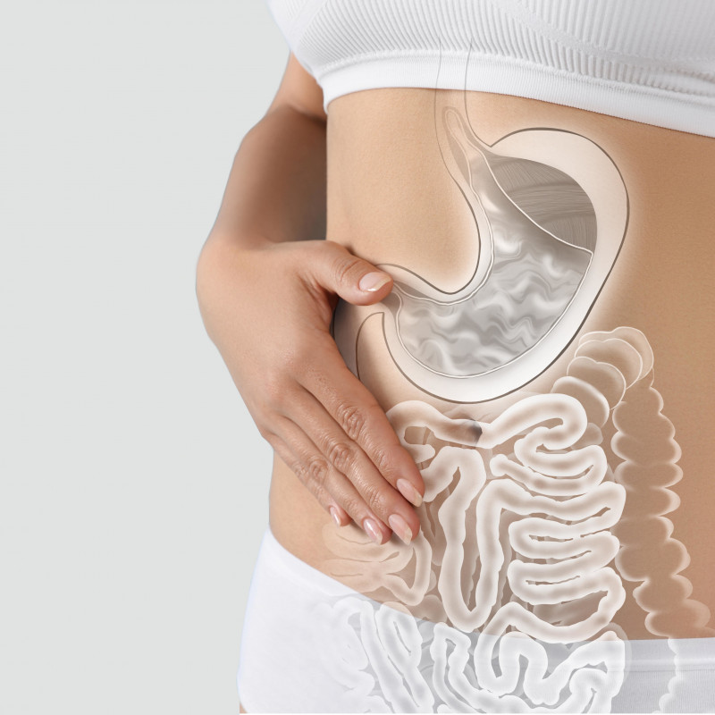 Microbiota Intestinal Completa